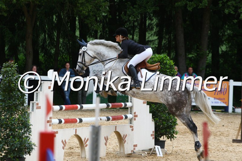 006M7842_Spring M.JPG